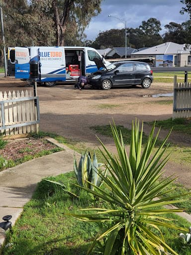 BLUE TORO MECHANICS Bendigo — Customer photo