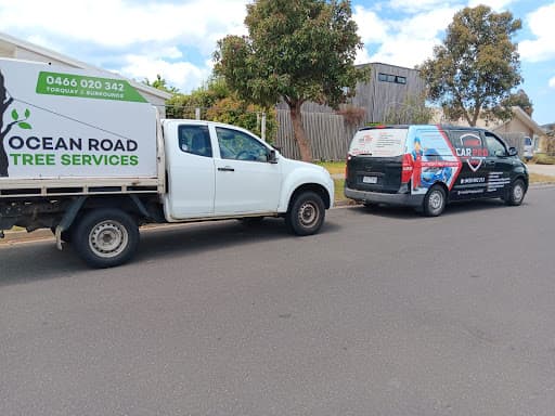 Car Pro Automotive and Mobile Mechanic — Customer photo