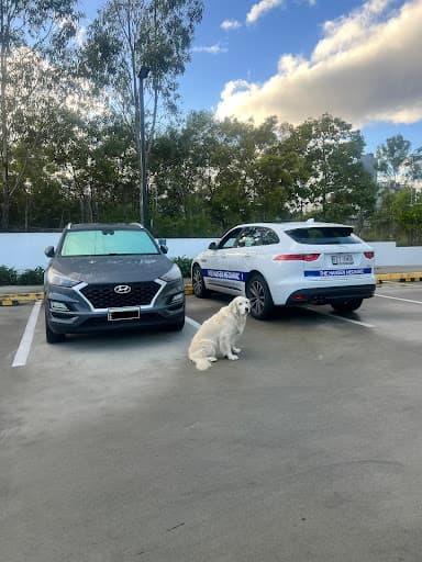 The Hansen Mechanic — Customer photo